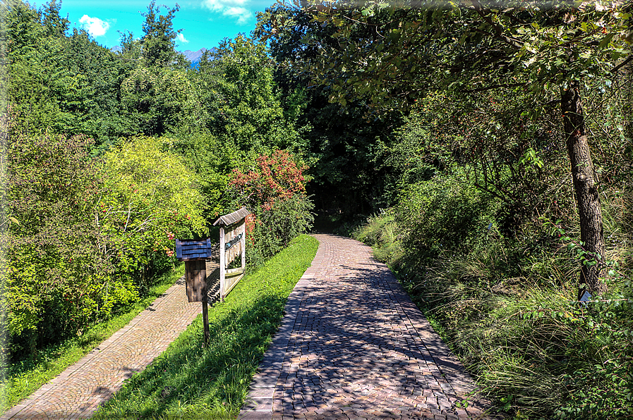 foto Giardini Trauttmansdorff - Paesaggi dell'Alto Adige